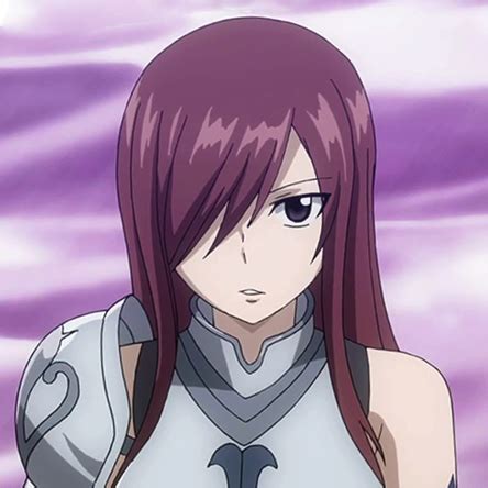 fairy tail erza age